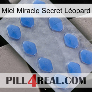 Miel Miracle Secret Léopard 21